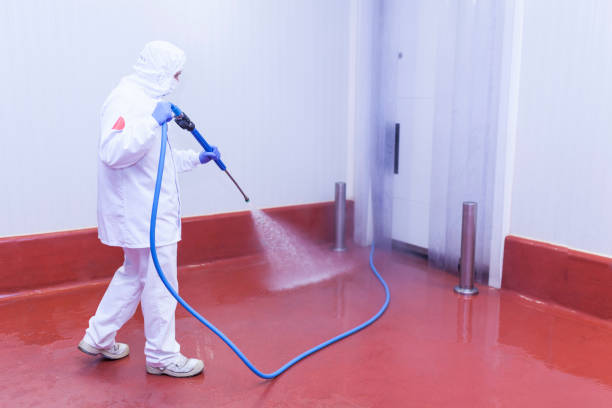 Best Paint Preparation  in Monsey, NY